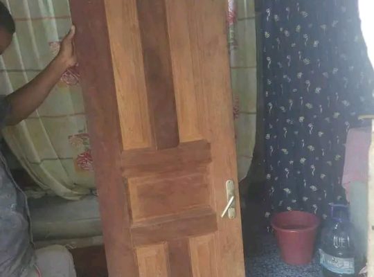 Porte en bois dur