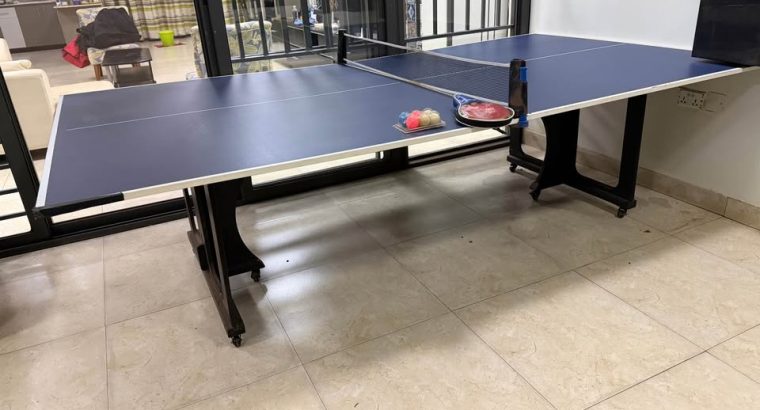 Kit complet de tennis de table professionnel