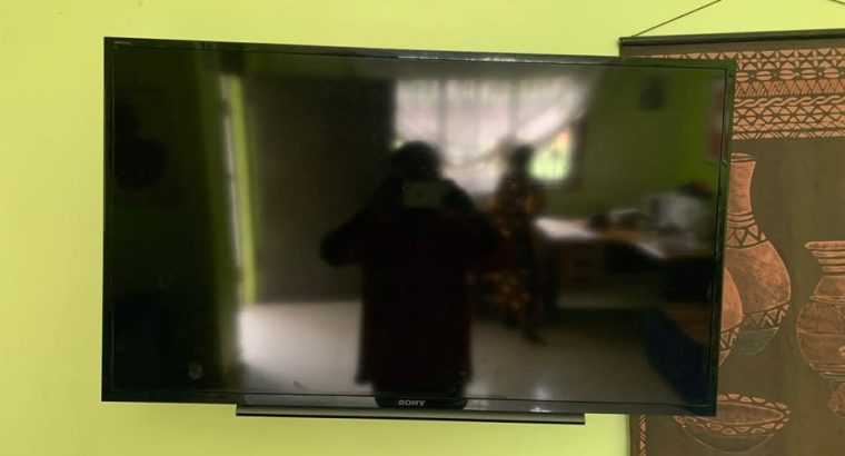 Sony Bravia 40 pouces + support mural