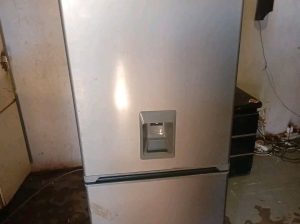 Frigo