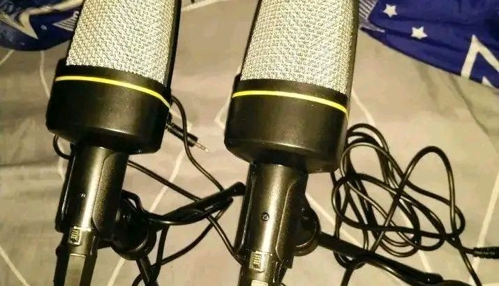 2 microphones