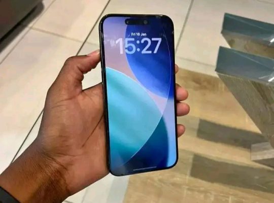 IPHONE 15 PRO MAX 256 Go