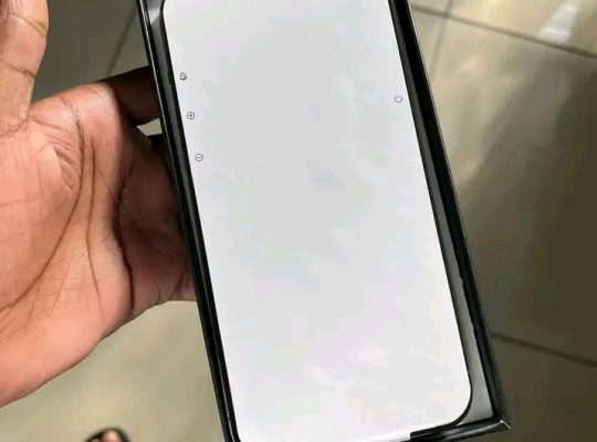 iPhone 13 Pro Max 256 Go