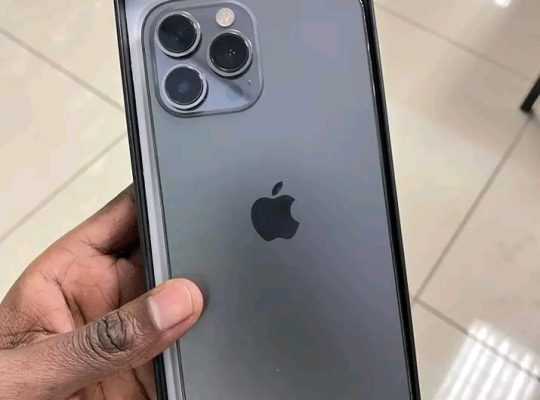 iPhone 13 Pro Max 256 Go
