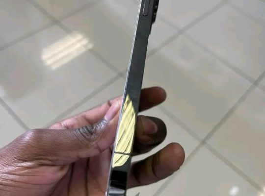 iPhone 13 Pro Max 256 Go