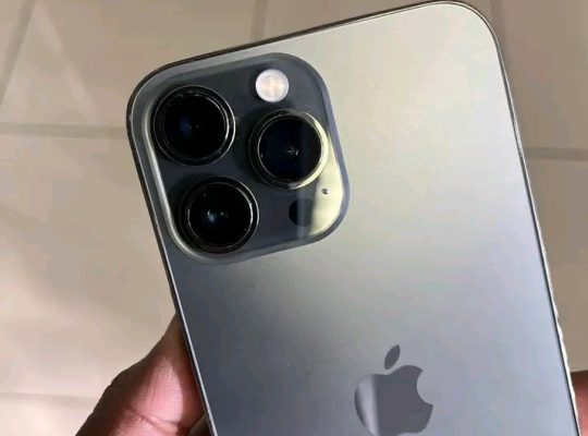 iPhone 13 Pro Max 256 Go