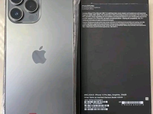 iPhone 13 Pro Max 256 Go