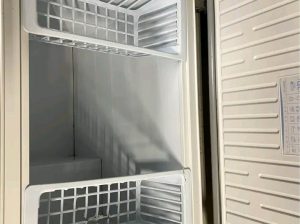 Congélateur horizontal Defy de 320 litres
