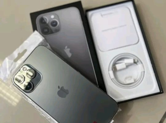 iPhone 13 Pro Max 256 Go