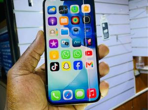 iPhone 13pro max