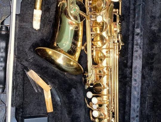 Saxophone micro housse