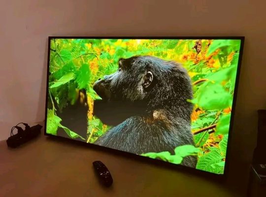 Télé 43 pouces 📺