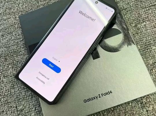 Samsung Galaxy Z Fold 4 256 Go