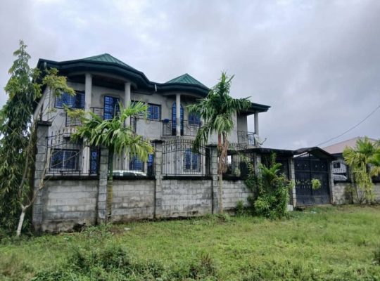 Duplex