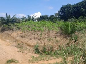 Terrain de 8 hectares 4643m2 avec ACD