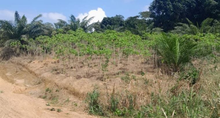Terrain de 8 hectares 4643m2 avec ACD