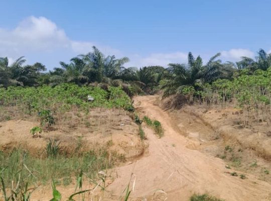 Terrain de 8 hectares 4643m2 avec ACD