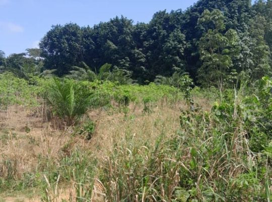 Terrain de 8 hectares 4643m2 avec ACD