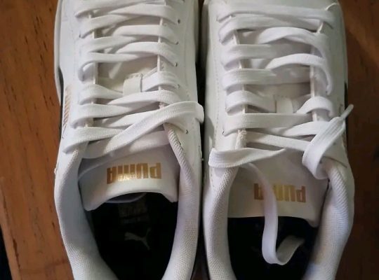 Puma  taille 6