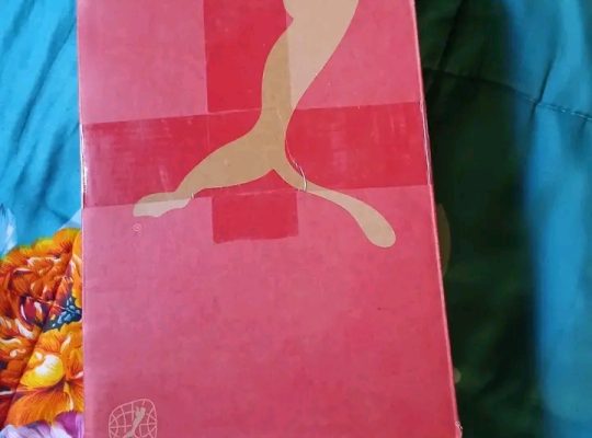 Puma  taille 6