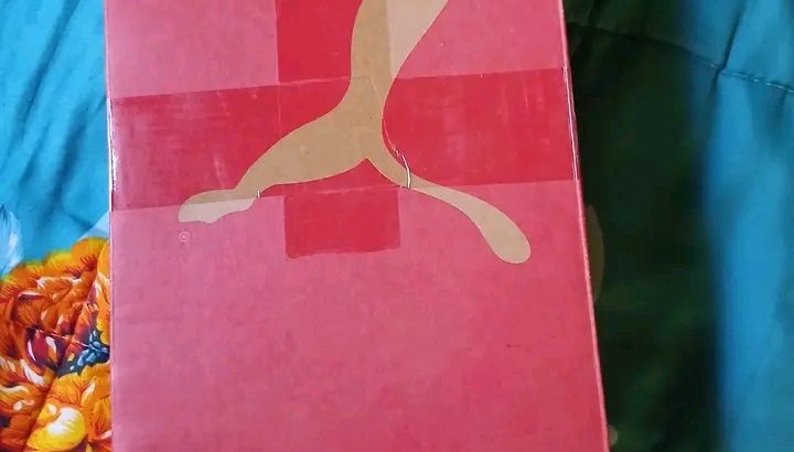 Puma  taille 6
