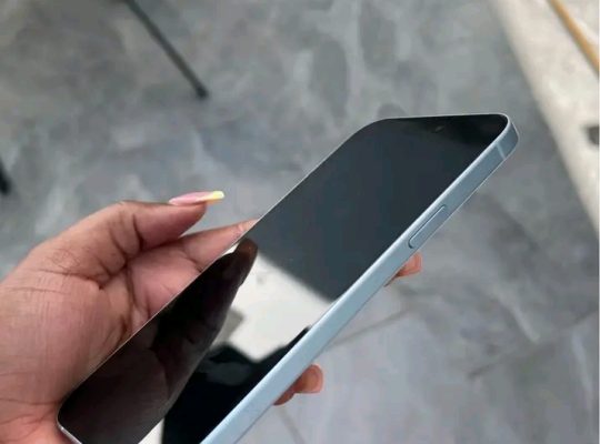 iPhone 15 Plus 256 Go