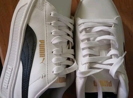 Puma  taille 6